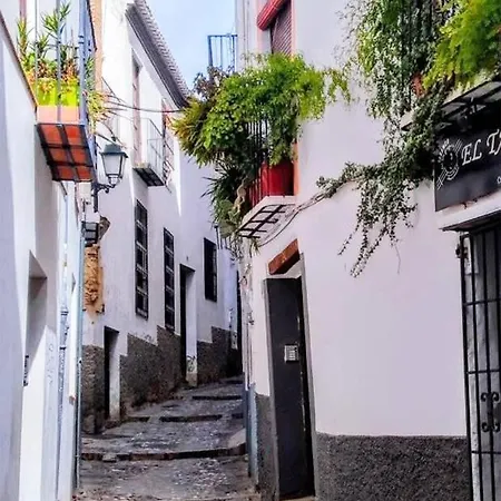 Casa Alhambra - Centro Historico Con Jardin Privado Grenade
