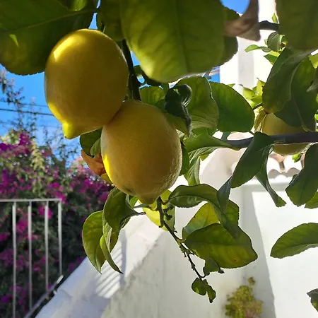 Apartment Casa Alhambra - Centro Historico Con Jardin Privado